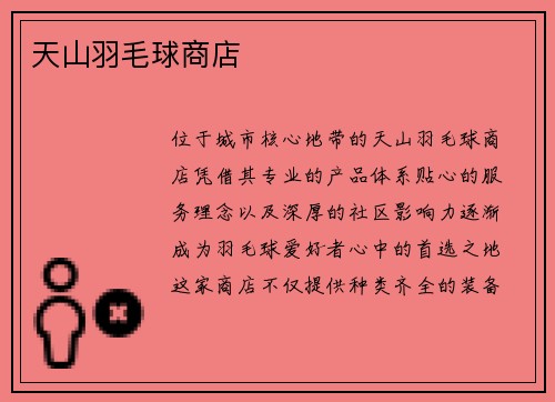 天山羽毛球商店