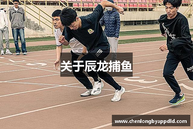 关于辰龙捕鱼